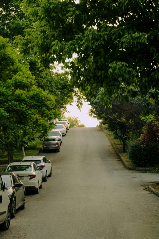 an image of cars parked along side a tree lined street