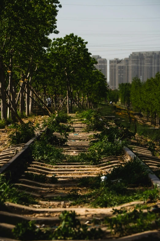 an empty rail road track in the city