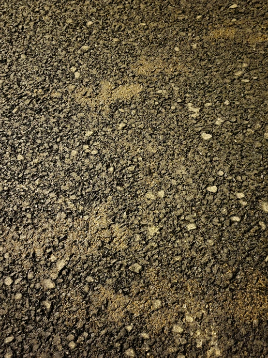 a black and white po of dirt with small circles