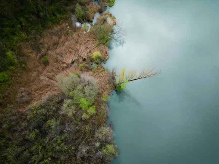 this aerial view shows a river and the grass near by