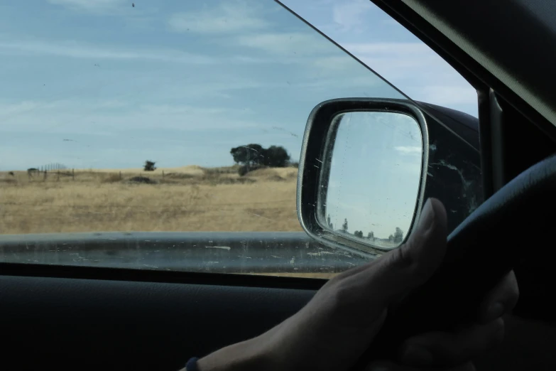 view of a pasture taken from the back seat of a car