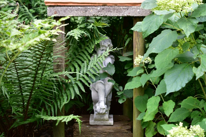 a statue of a person is shown surrounded by bushes