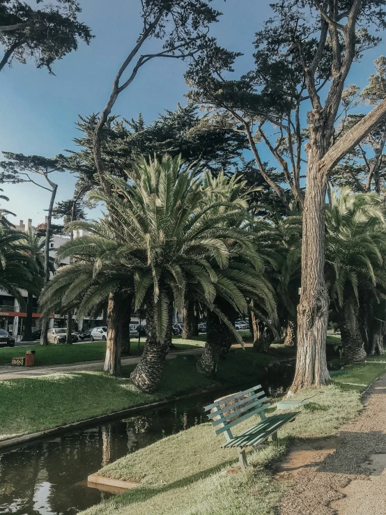 a bench in a park near water and trees