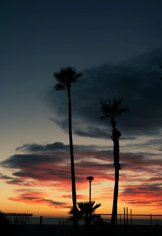 a few palm trees in front of a bright sunset