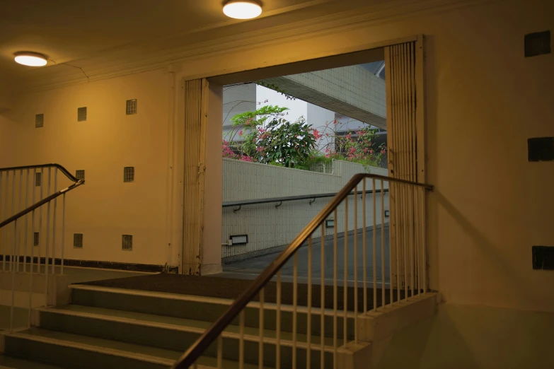 an open doorway to a balcony with a flower pot and stairs