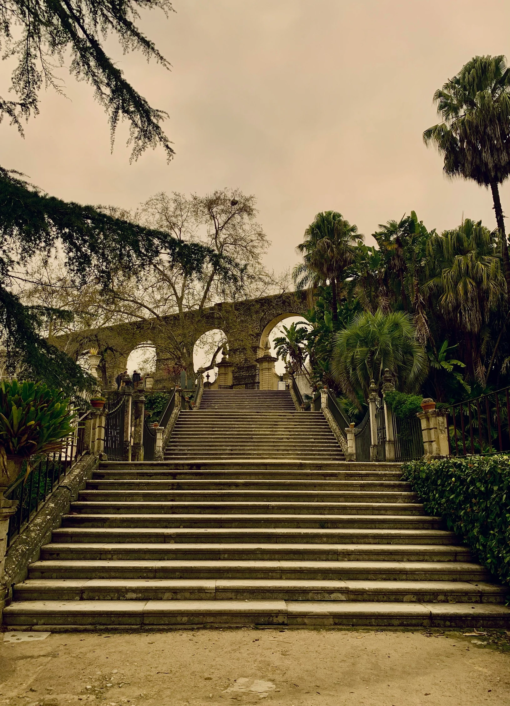 a staircase in front of trees and bushes