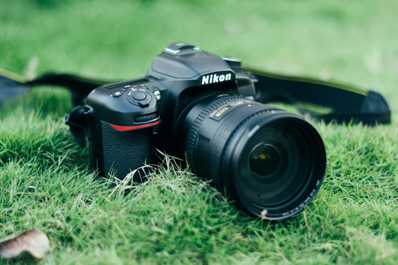 an image of a pographer's camera in the grass