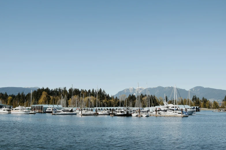 an expansive body of water with boats parked next to each other
