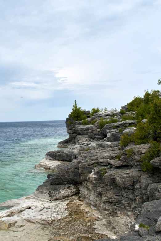 the cliffs with trees are above the blue water