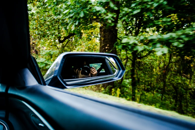 the view of the trees in the rear mirror from inside a vehicle