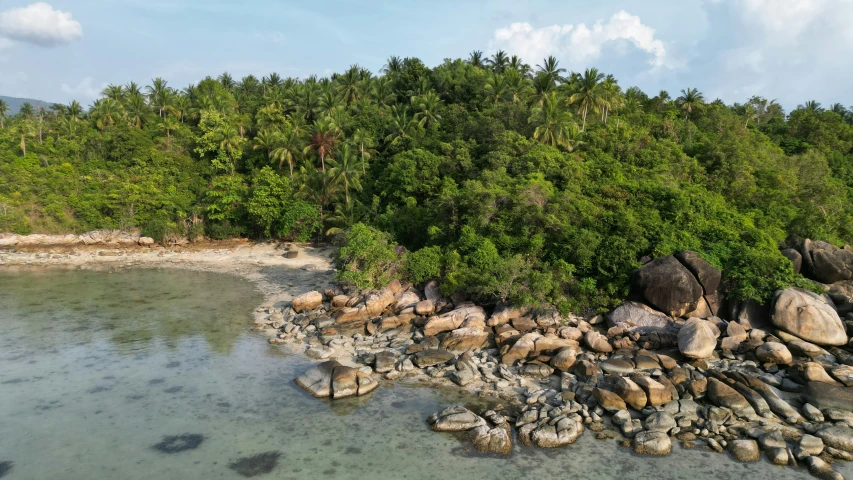 an aerial view of a beach area surrounded by trees