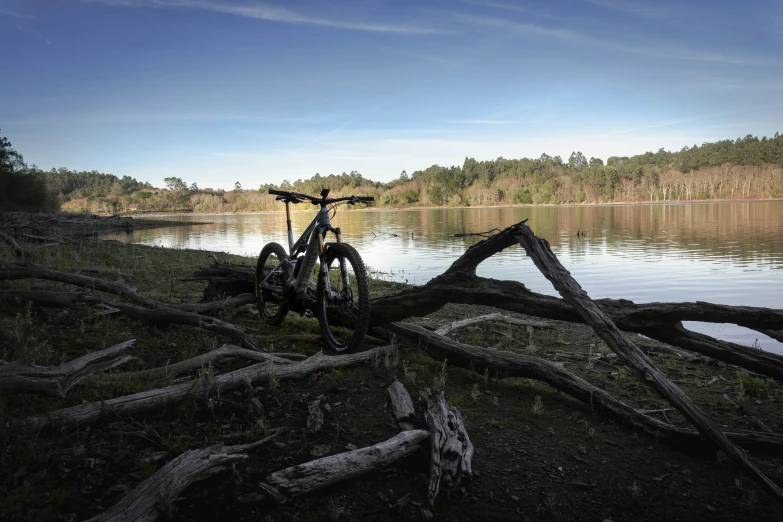 an old bicycle sitting next to a fallen tree trunk