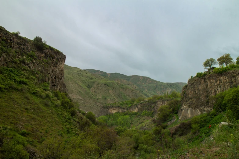 the mountain side is covered with vegetation