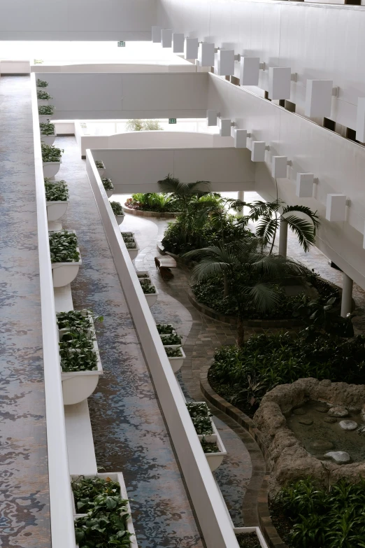a view of an empty walkway and small gardens