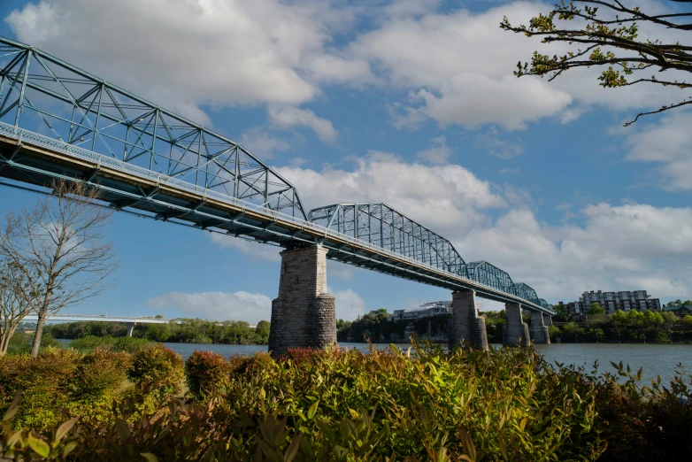 the bridge can be seen from across the water