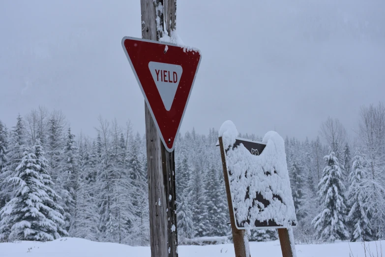 a traffic sign on top of snow covered trees