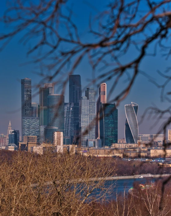 the city is in the distance, seen through trees