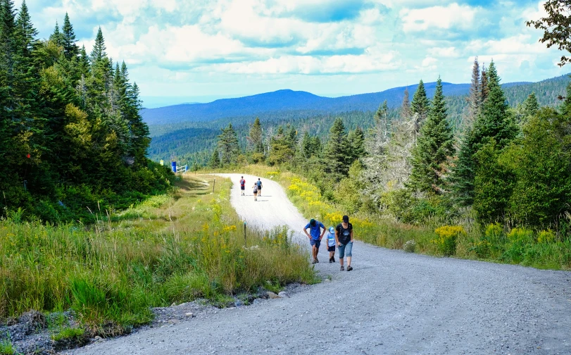 two people walking up to a hill above trees