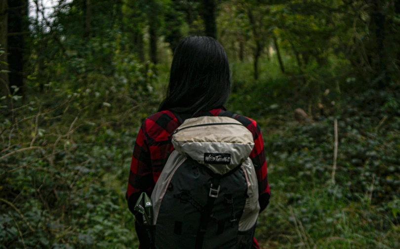 a person with a backpack and backpack is walking on the trail