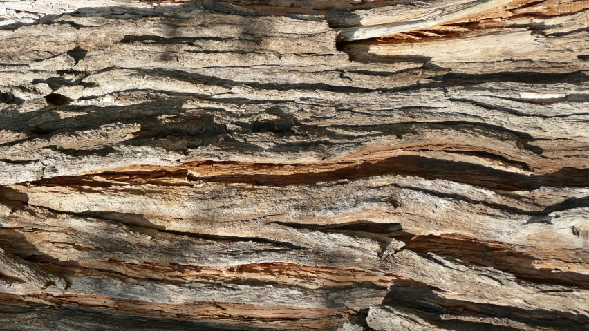 some very old looking wood that looks like a mountain