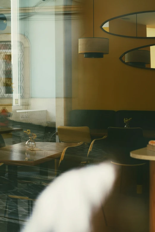 a restaurant with table and chairs is reflected in the window