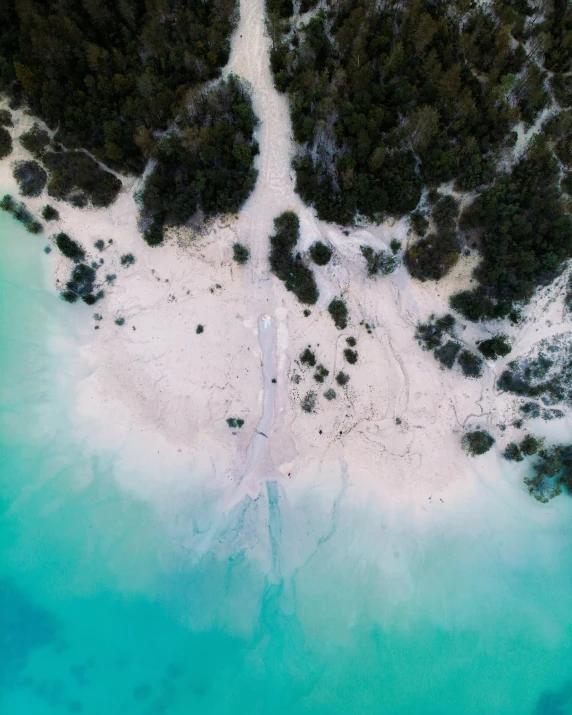 an aerial view of a blue, clear lagoon and sandy shoreline with evergreen trees