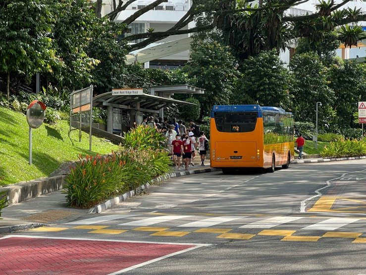 orange bus driving down the street with trees in the background