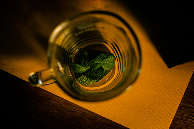 the top view of a glass with leaves in it