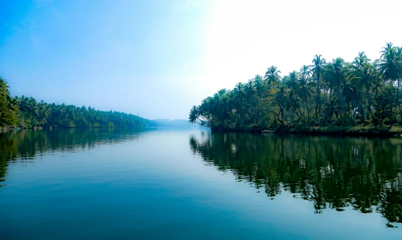 a calm body of water with trees on both sides