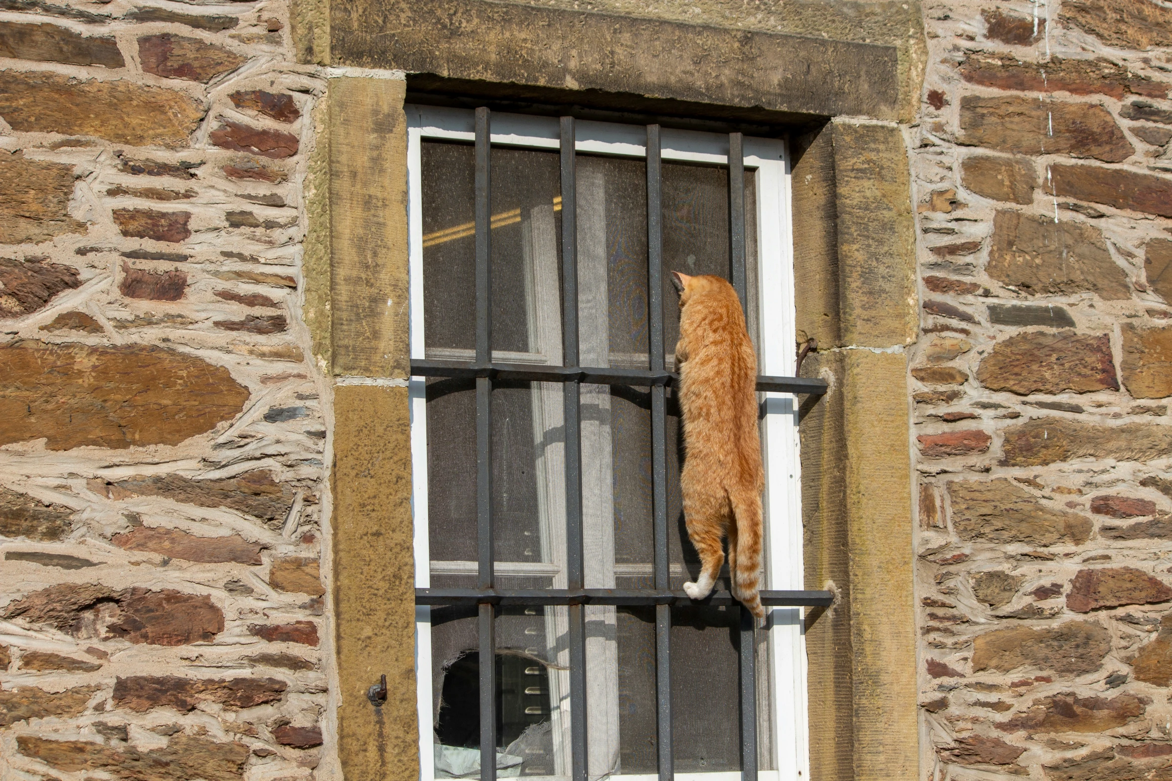 a brick wall with iron bars and a barred window