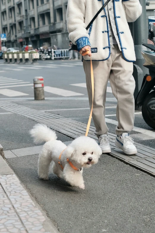 a dog is pulling on to leash while wearing a white jacket