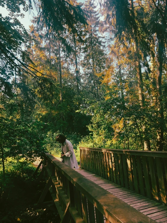 a couple on a bridge in the woods