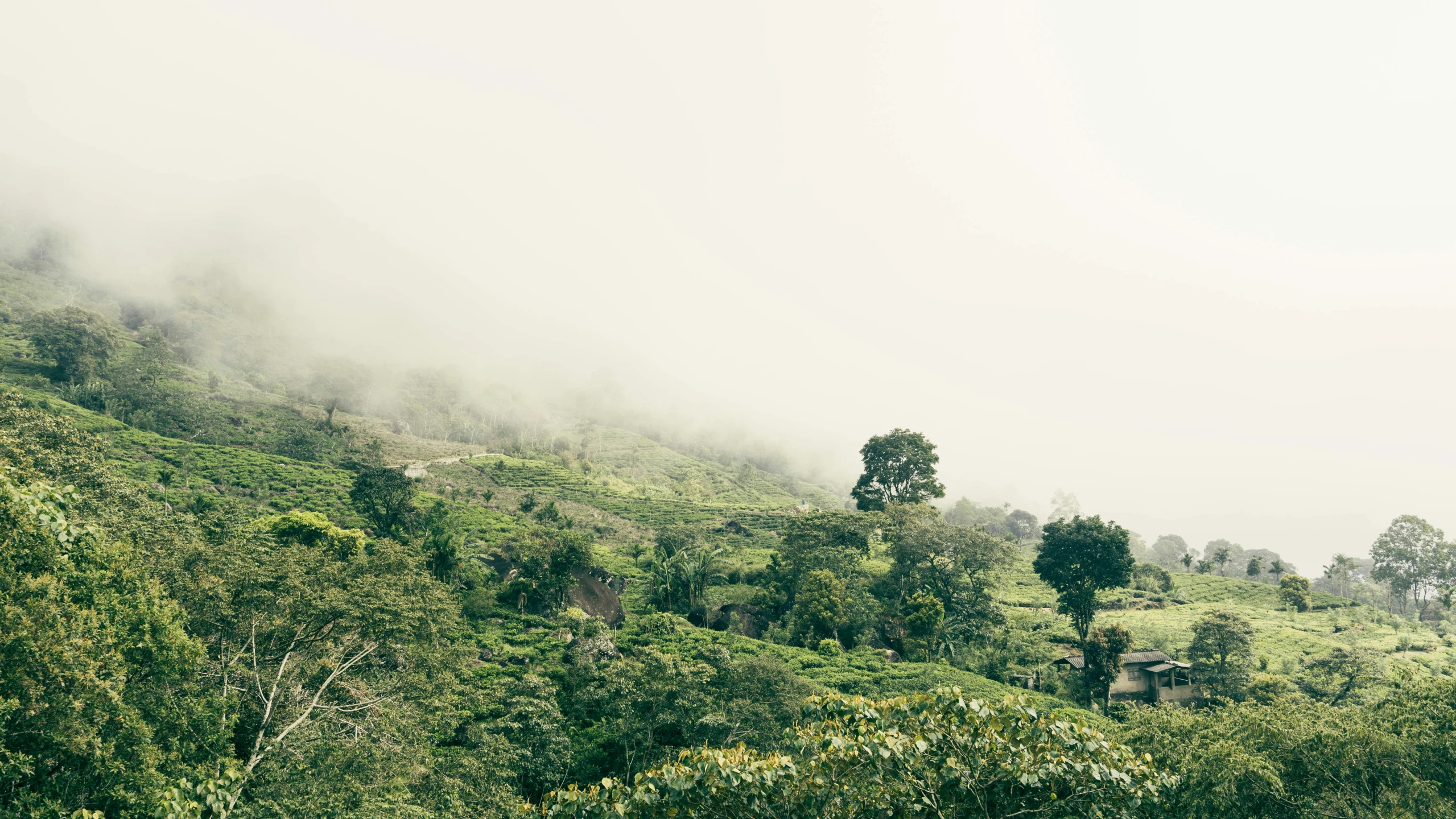 some people are standing in the green mountains