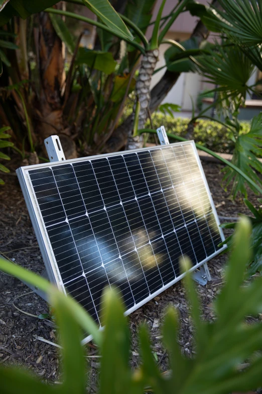 a small solar panel in a patch of dirt