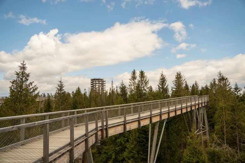 a bridge is crossing over the high forest