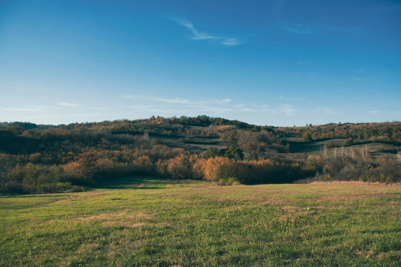 an empty field with grass and trees in the background