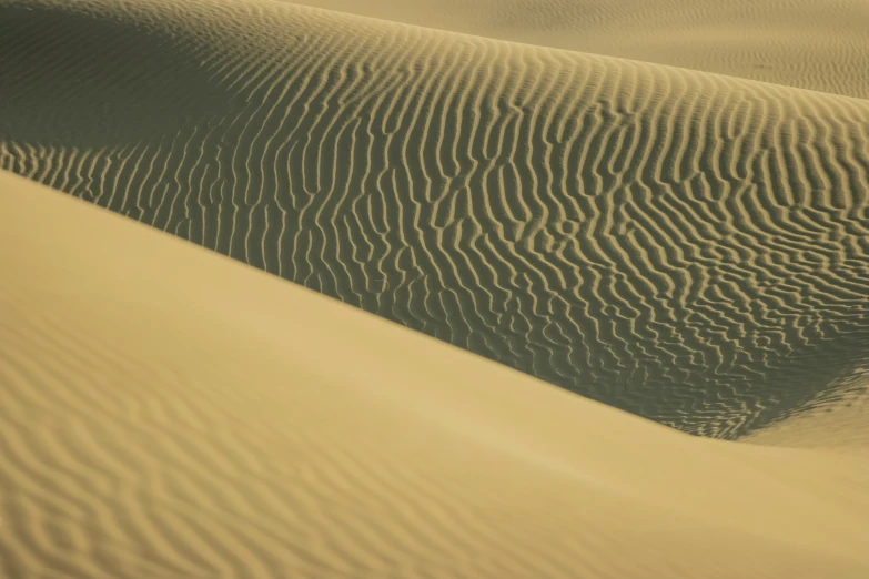 the desert is shown with sand dunes and trees