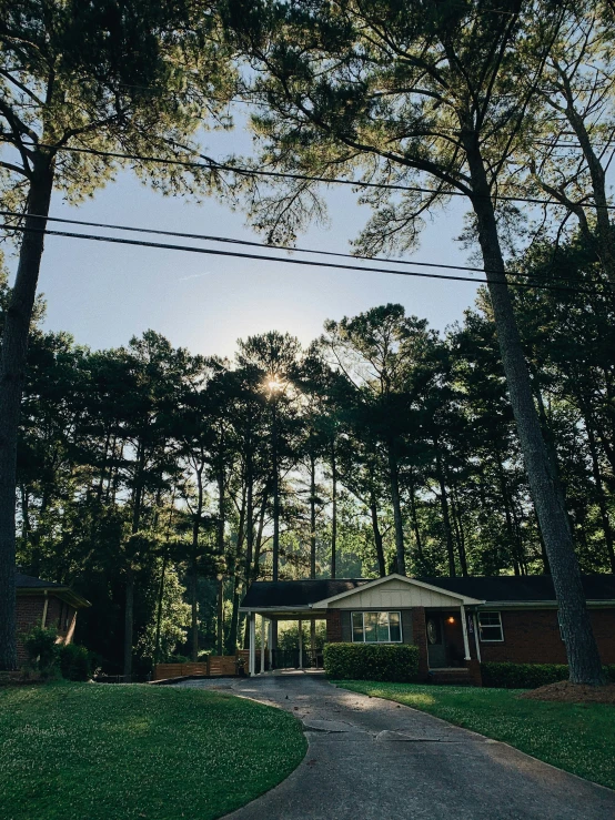 the road is running through the trees near the house