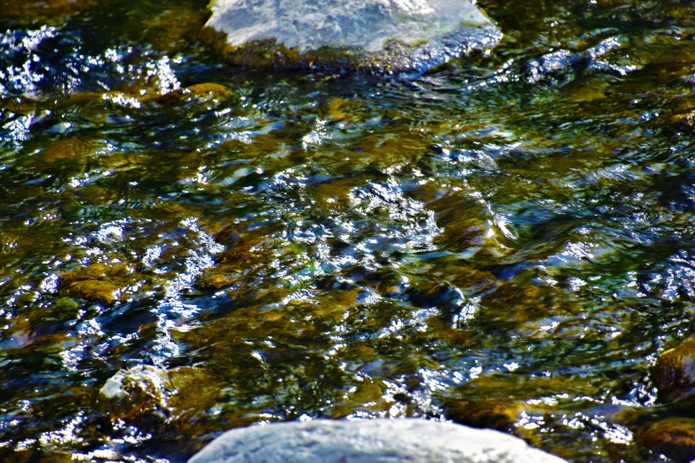 the water is crystal clear and is full of waves