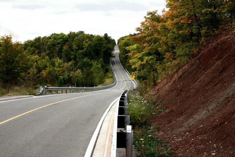 there is an empty road surrounded by trees