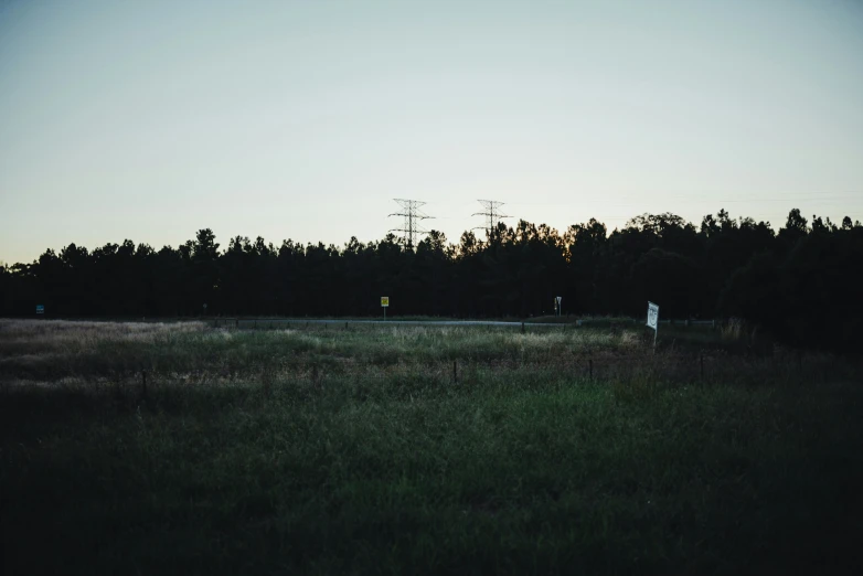 there are trees and an empty road next to some tall grass