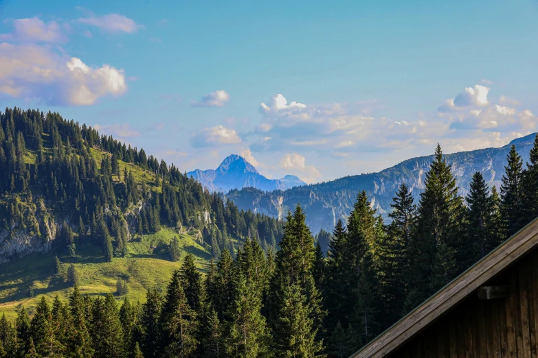 the mountains are covered with lots of trees