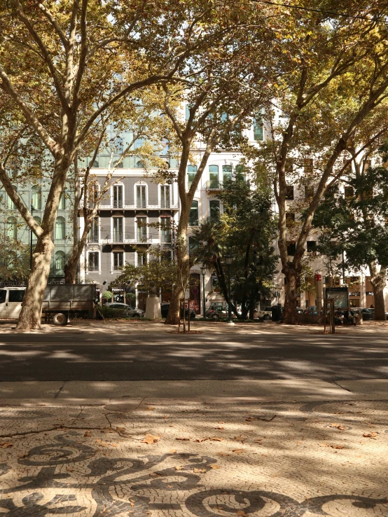 trees and a building near the road with people riding bicycles