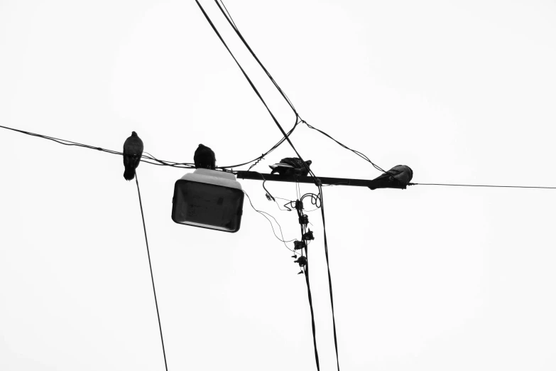 two birds are sitting on top of a power pole