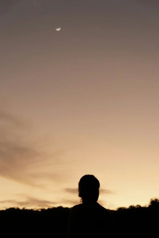 person standing near a tree with the sky and sun setting behind them