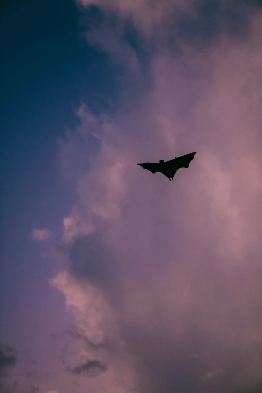 a airplane flying in the sky during a cloudy sunset