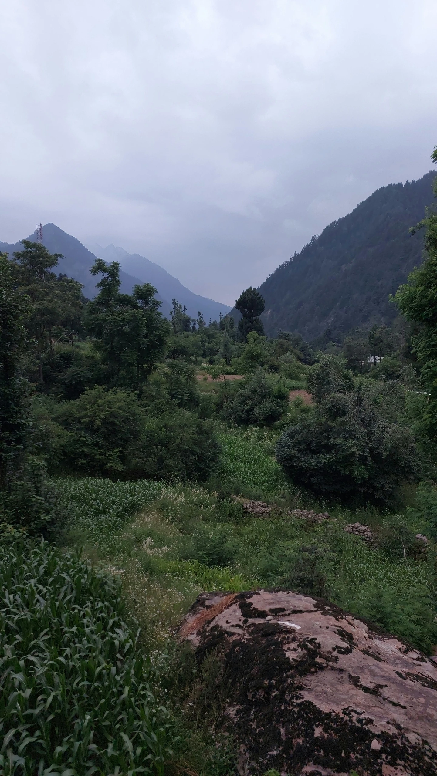 the rocky dirt is next to a valley