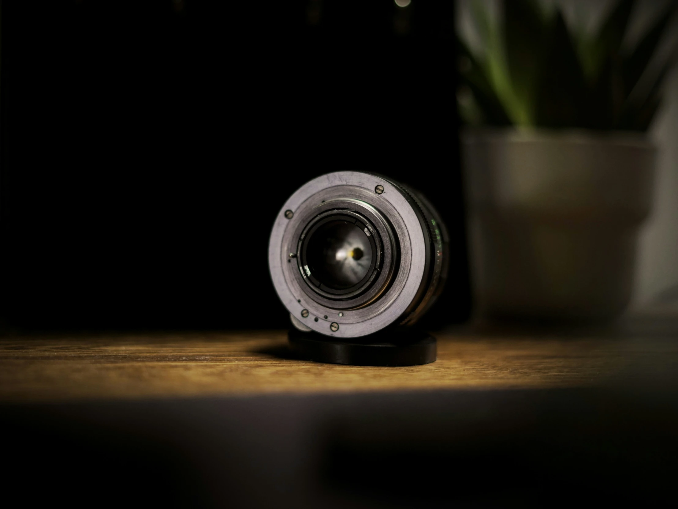 an old lens on a wooden table with a plant in the background