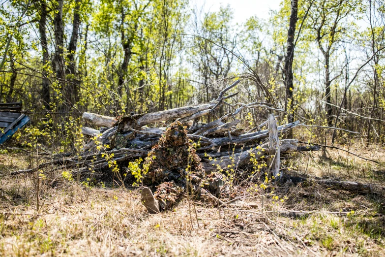 a fence in the middle of some woods