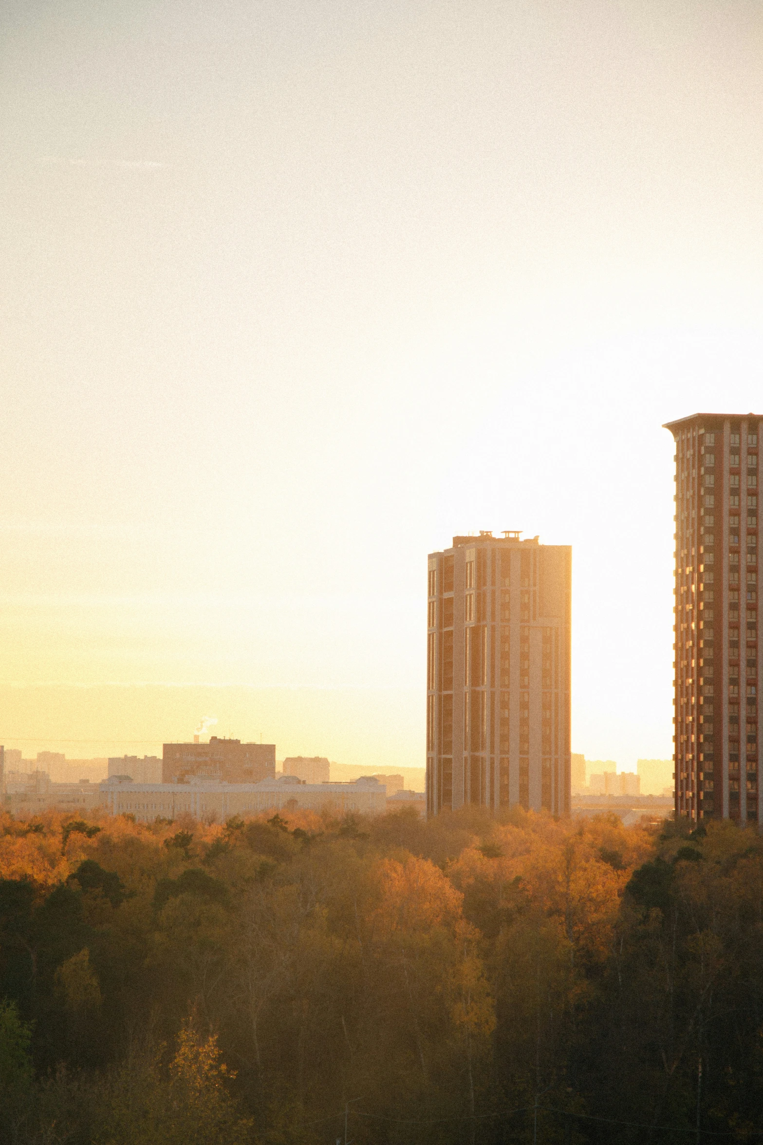 tall buildings are seen through trees at sunset